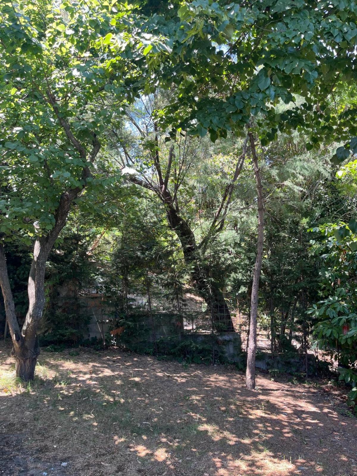 Villetta Panoramica Con Giardino A Riccione Exterior photo